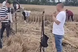 帮忙还是捣乱？网红扎堆到麦地直播割麦引争议图片