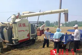 新蔡县化庄乡：强抓时机 全力以赴抢收小麦图片