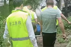 温州120一周接四起摘杨梅坠树警情，其中两人心跳呼吸停止图片
