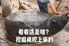 河南焦作一村庄挖出大石龟，网友猜测有大墓，村民：石龟很早就有，二十多年前被埋地下图片