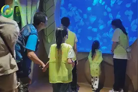 探秘海洋世界 三亚“爱心爸妈”带困境儿童欢度“六一”图片