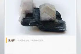 湖湘自然历丨石韫玉而山晖②白炽灯为何非它不可？图片