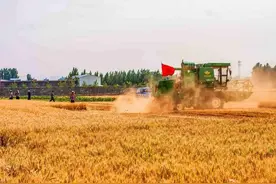 观澜亭｜网红麦田直播，真帮忙还是赚流量？图片