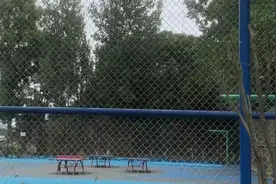 记者调查丨公共球场将变篮球培训场地对外运营？图片