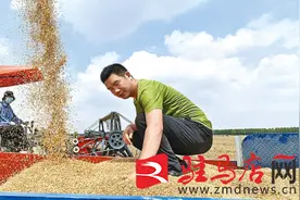 与时间赛跑 抢收抢运抢入仓图片