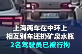 上海高架桥再现“速度与激情” 警方:两司机被行拘图片