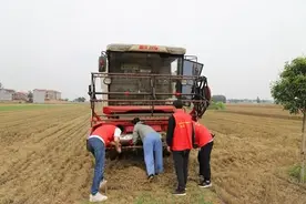 护航“三夏”丨收割、烘干、播种、秸秆还田……河南各地助农志愿者田间收麦忙图片