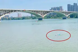 惊险！女子跳江轻生，城管队员奋力营救图片