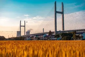 闵行这个镇，以黄浦江之名，将历史文化与美好生活交织互融图片