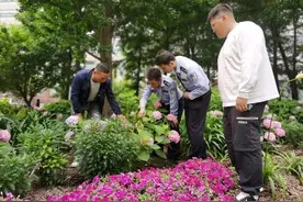 趁着夜色到绿化带“进货”？价值4万元的景观花被卖了1000元图片