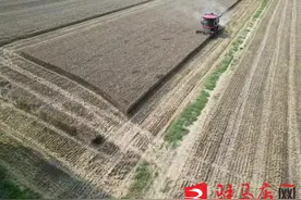新蔡县宋岗乡：“三夏”抢收 我们在行动图片