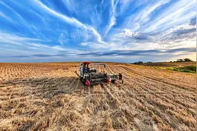 网红扎堆割麦子，我们需要什么样的“麦田直播”？图片