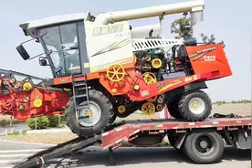 “三夏”进行时图片