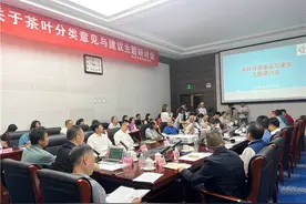 普洱茶可能成为新茶类吗？云南省普洱茶协会开展“茶叶分类大讨论”图片