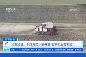 108万亩小麦开镰！河南项城收割机昼夜抢收图片