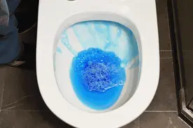 上厕所途中千万不要冲厕所，千万不要！图片