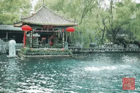 作家在线|于宪柏：玫瑰“仙子”的传说图片