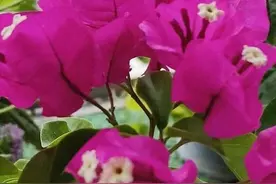 高尔基《在人间》：唯有自救，方能得救图片