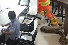 “119吗？我是110。我们这有条大蟒蛇，有点不敢抓呀…”蟒蛇进派出所，民警求助消防视频封面
