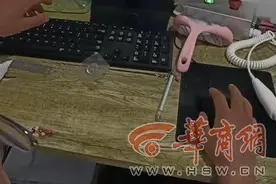 西安城东一小区垃圾堆里有只受伤小金毛 好心人筹近万元手术图片