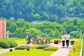 可种菜，可踢球！广东这些学校的楼顶好“犀利”图片