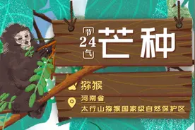 万物生长｜今日芒种图片