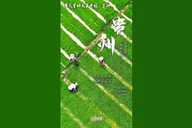 芒种：耕耘时光 不负美好图片