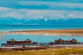 新疆赛里木湖夏日风光旖旎 宛如童话图片