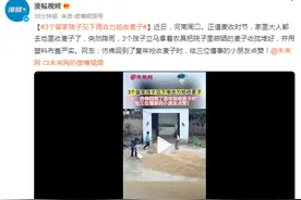 3个留家孩子见下雨合力抢收麦子 网友：仿佛回到了童年图片