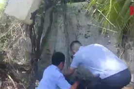 偷鸡不成反被困，好大一只！图片