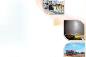 本报记者直击麦收一线——  跟着农机手抢收小麦（深度观察）图片