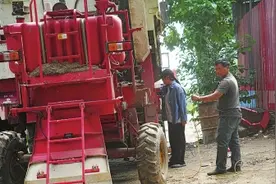 河南00后女大学生回乡和父亲轮替开收割机 “帮乡亲们抢收比啥都重要”图片