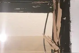 今日晨报｜遇白蚁别慌，四种途径可灭它图片