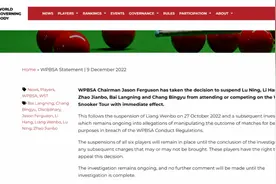 梁文博被终身禁赛，赌球是因为“入不敷出”？图片