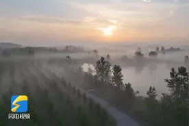 薄雾轻浮湖面宛如人间仙境 夏日微山湖国家湿地公园美景如画图片