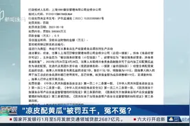 “凉皮配黄瓜”被罚五千，冤不冤？多家餐馆因“凉皮里加黄瓜丝”被罚 制售冷食有“门槛”