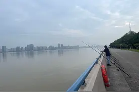 一晚能赚上千块？杭城不少人赶到这捞“软黄金”！意外发生了......图片