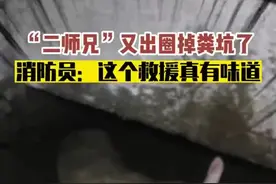 200斤的猪试图“越狱”，结果翻身掉进旁边粪坑……消防员将其救出图片