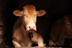 今年的高考地理题，意料之外......图片