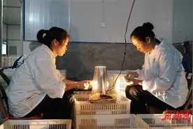 深化走转改 记者一线见闻丨一颗皮蛋的新生图片