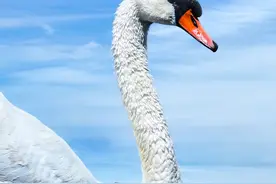 苍穹巨灵·内蒙古篇图片