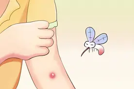 防蚊虫“必杀技”来了！看看“网红”驱蚊方法有实效吗图片