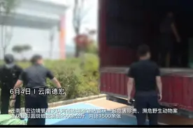 触目惊心！云南查获上千张蛇皮，铺了满满一地图片