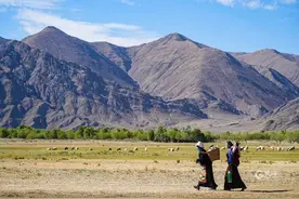 援藏日记210丨激情六月相约林卡图片