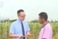 桂林银行：推动乡村振兴金融发展共生互促视频封面