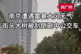 南京遭遇雷暴大风天气  街头大树被刮倒砸中公交车图片