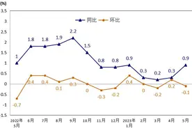 5月岳阳市居民消费价格同比上涨0.9%  环比下降0.1%图片