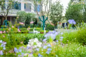 最后一次交付！看西派国樾如何完美收官！图片