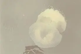 有剧毒，千万别上手摸！看到立即远离！图片