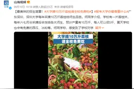 大学摘10万斤荔枝请学生免费吃：学校有一片荔枝林图片
